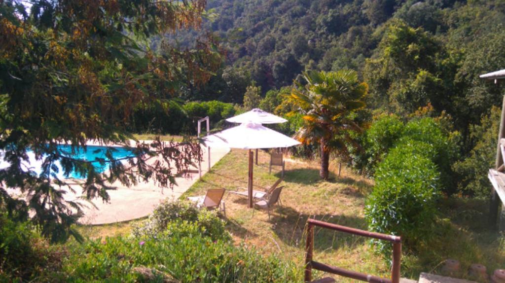 Chácara Refugios Olmue Santa Teresa El Maqui