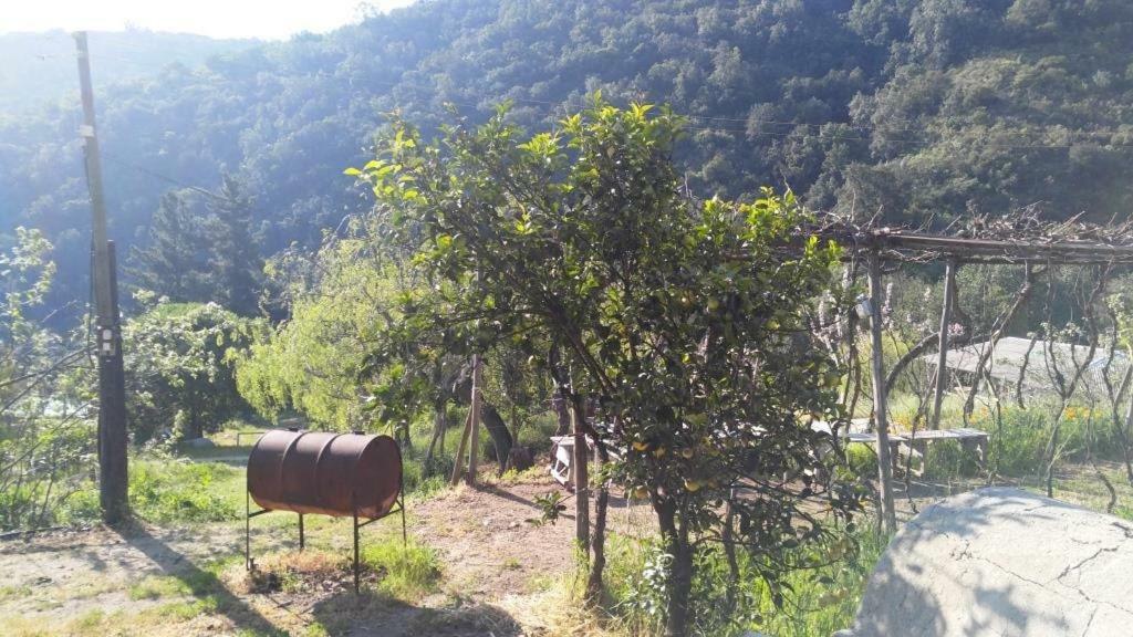 Chácara Refugios Olmue Santa Teresa *